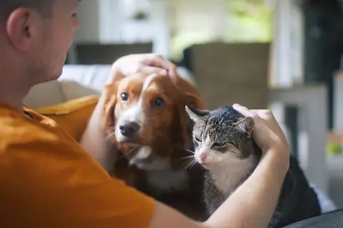 Un traitement comme Ozempic pour les chiens et les chats