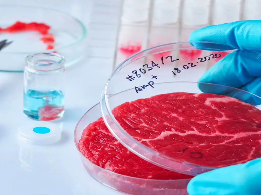 fausse viande uniquement d’origine végétale