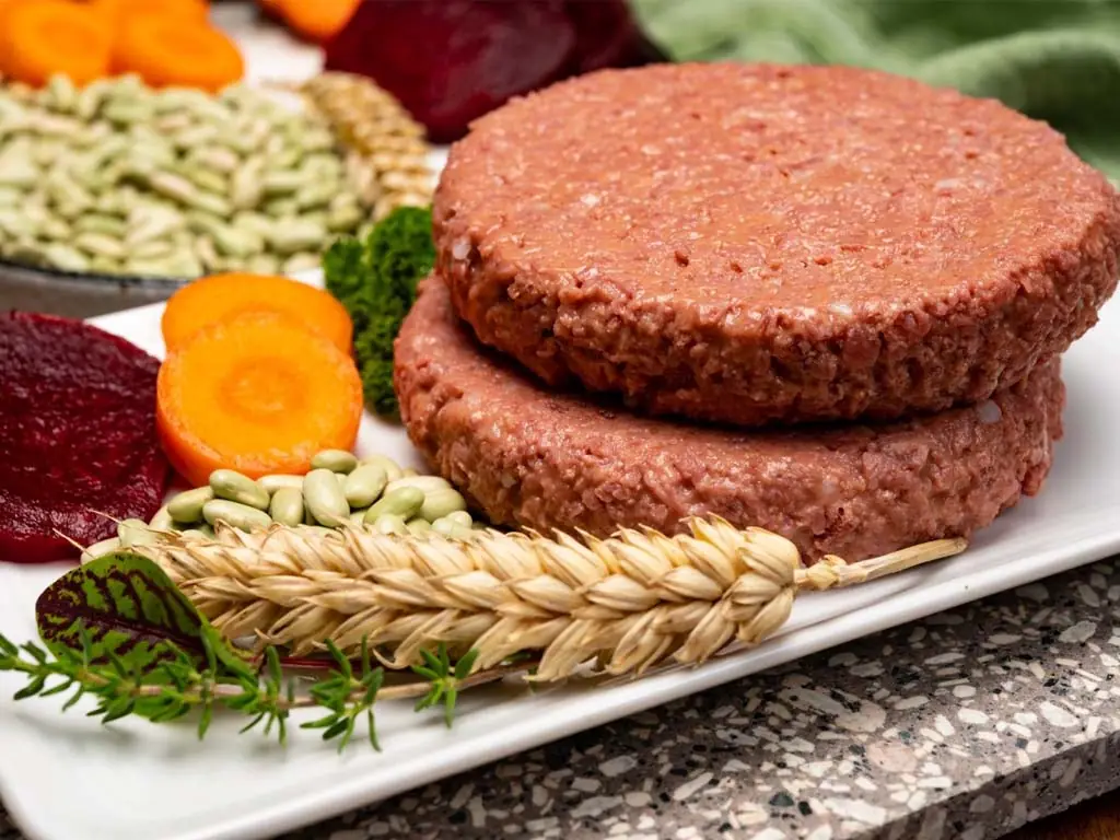 fausse viande avec des plantes