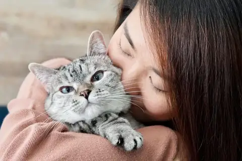 Une fortune de 100 millions de dollars pour un chat